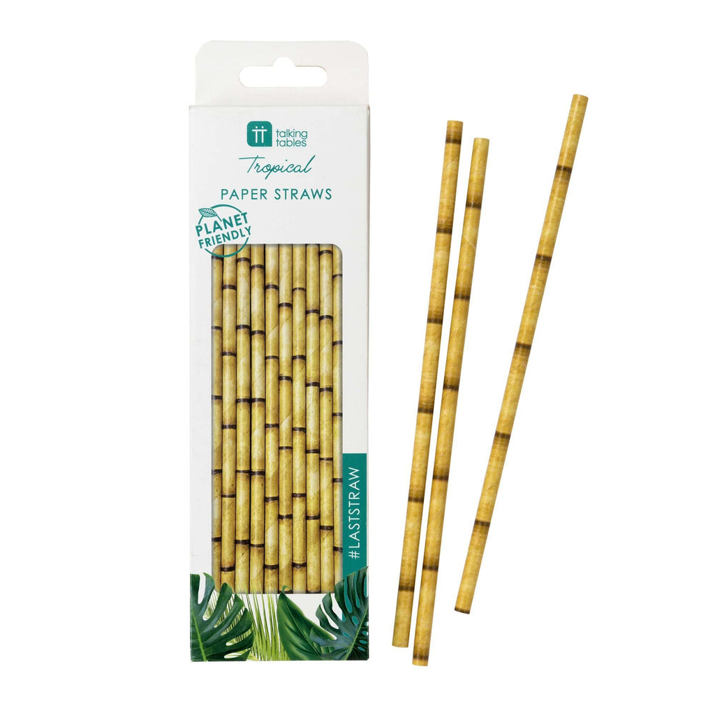 fiesta-bamboo-paper-straws-tropical-pack-of-30- (1)