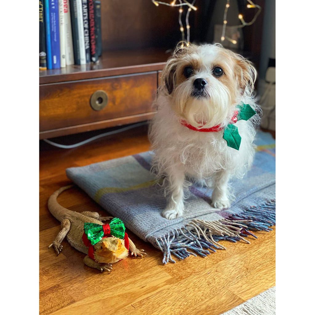 talking-tables-sequinned-christmas-dog-bow-tie-talk-5106794